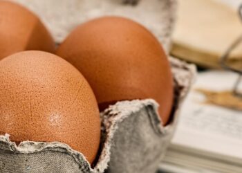 Sanidad contabiliza 73 brotes alimentarios y 1.187 afectados en Madrid mientras refuerza los controles de verano