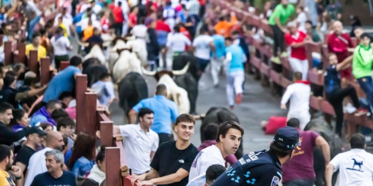 El segundo encierro de Guadalajara deja dos corredores contusionados tras varias caídas durante el recorrido 1 El segundo encierro de Guadalajara deja dos corredores contusionados tras varias caídas durante el recorrido