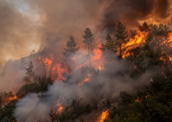 Guadalajara prepara un nuevo servicio para responder a incendios, DANAs y otras emergencias desde sus centros comarcales
