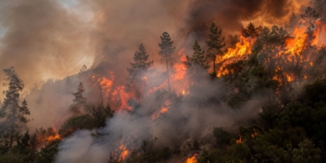 Guadalajara prepara un nuevo servicio para responder a incendios, DANAs y otras emergencias desde sus centros comarcales