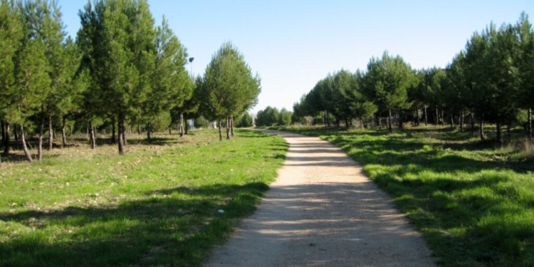 Los vecinos de Coslada decidirán desde este domingo el destino de 600.000 euros mediante seis puntos de voto