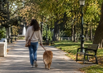 El ADN canino dejará de ser gratuito en Torrejón el 1 de octubre y no registrarlo puede costar hasta 750 euros