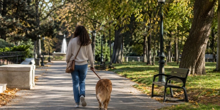 El ADN canino dejará de ser gratuito en Torrejón el 1 de octubre y no registrarlo puede costar hasta 750 euros 1 El ADN canino dejará de ser gratuito en Torrejón el 1 de octubre y no registrarlo puede costar hasta 750 euros