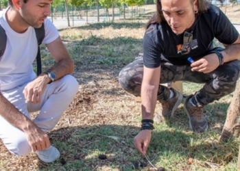 Las primeras multas por ADN canino llegan a Marchamalo: 750 euros por incumplir la nueva ordenanza