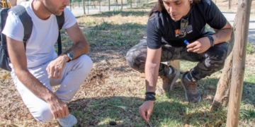 Las primeras multas por ADN canino llegan a Marchamalo: 750 euros por incumplir la nueva ordenanza