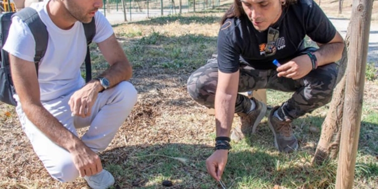 Las primeras multas por ADN canino llegan a Marchamalo: 750 euros por incumplir la nueva ordenanza