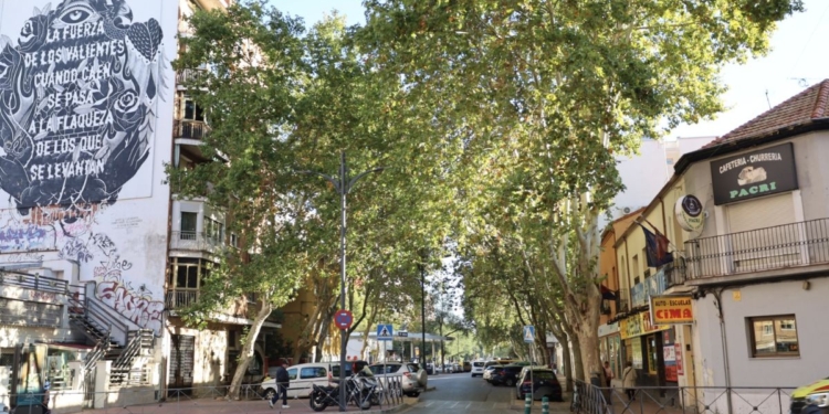 Alcalá aprueba la renovación del saneamiento de la avenida de Guadalajara entre Alonso Martínez y Diego de Urbina